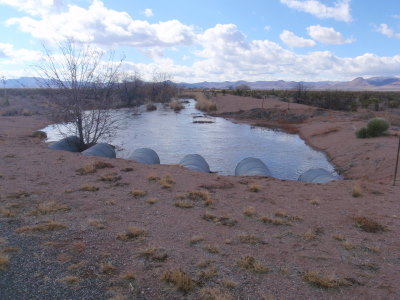 The only water that we saw.  It had rained the day before.